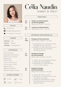 exemple cv stage etranger