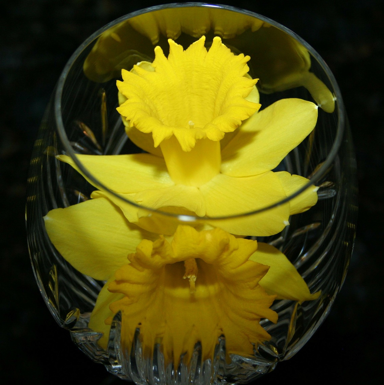Les vases en cristal pour sublimer votre maison !