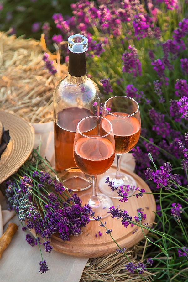 Du vin dans des verres. Pique-nique dans un champ de lavande.