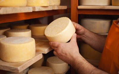 Quelle fromagerie visiter en Normandie ?