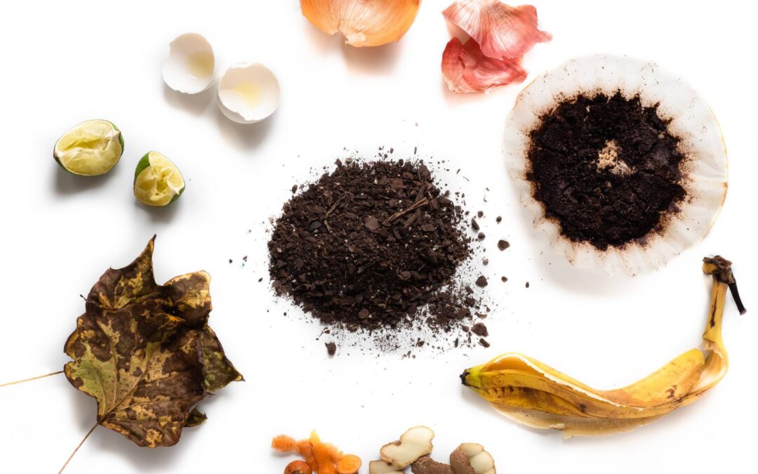 Composter à la maison : guide pour débutants et avantages écologiques