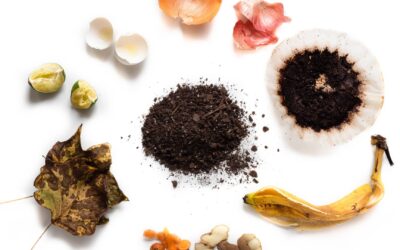 Composter à la maison : guide pour débutants et avantages écologiques