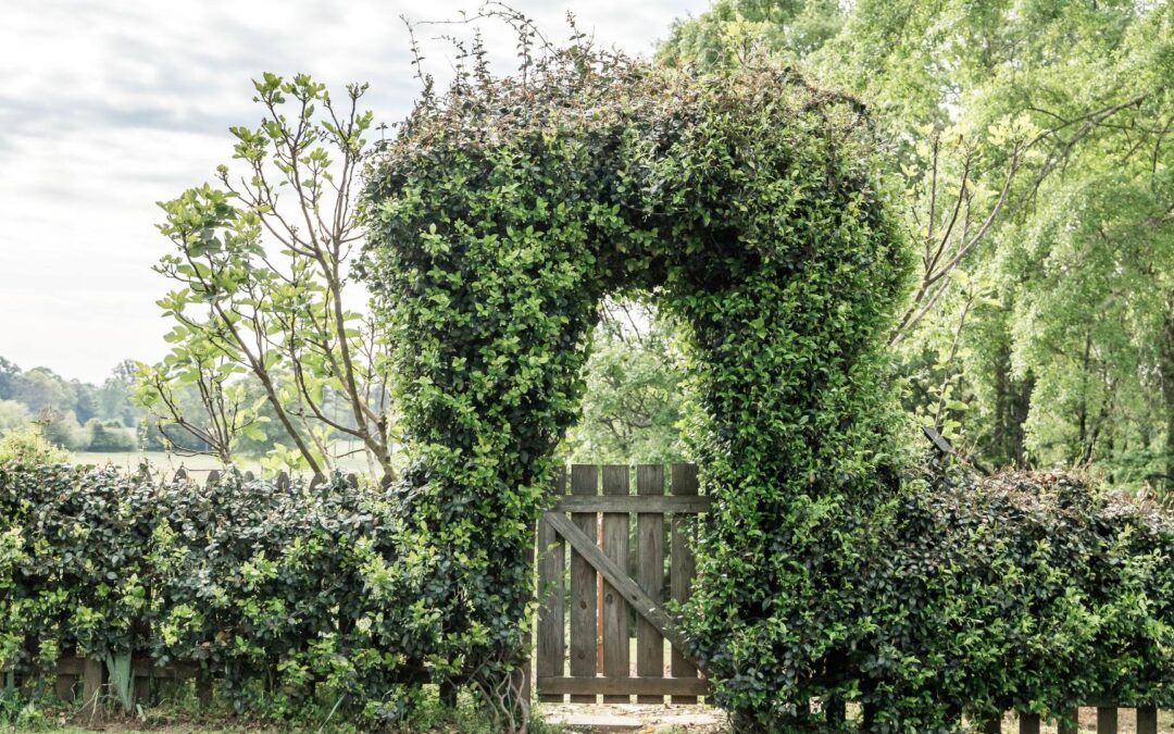 Créer un jardin sans pesticides : conseils pour une culture saine et respectueuse