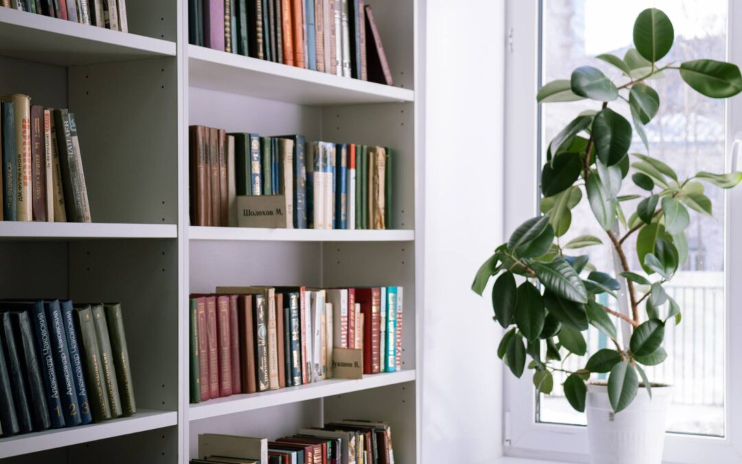 Choisir les plantes d&rsquo;intérieur adaptées à la lumière naturelle de votre salon
